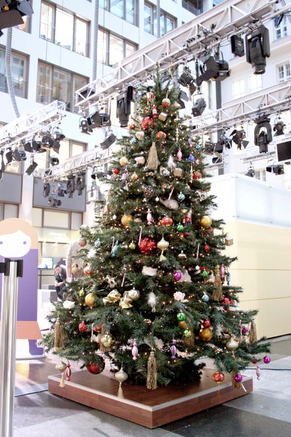 Nussknacker — ZDF Morgenmagazin
